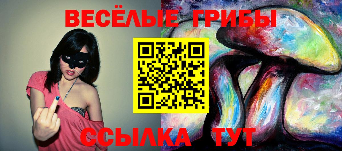Псилоцибиновые грибы Psilocybine cubensis  Псилоцибиновые грибы Cubensis  Вход с VPN  Пенза 